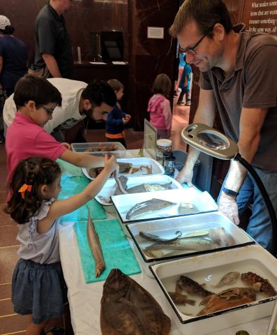 man standing at table with children observing and holding fossils