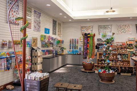 An image of the interior of the museum gift store