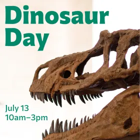 Dinosaur Day