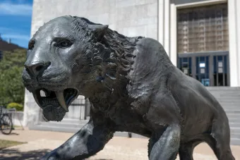 Large saber tooth cat statue