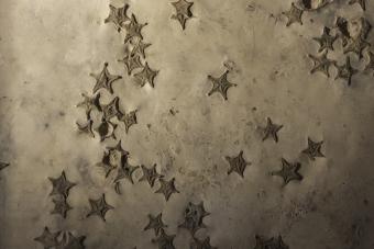 Image of star shaped fossils in rock