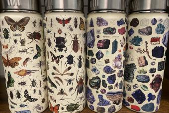 insect water bottles
