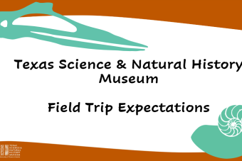 field trip expectations