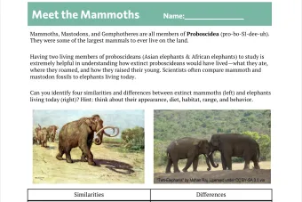 Meet the Mammoths