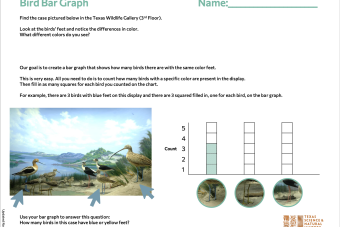 Museum Math Activity Packet