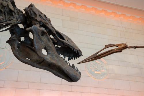 headshot of both fossils in Great Hall