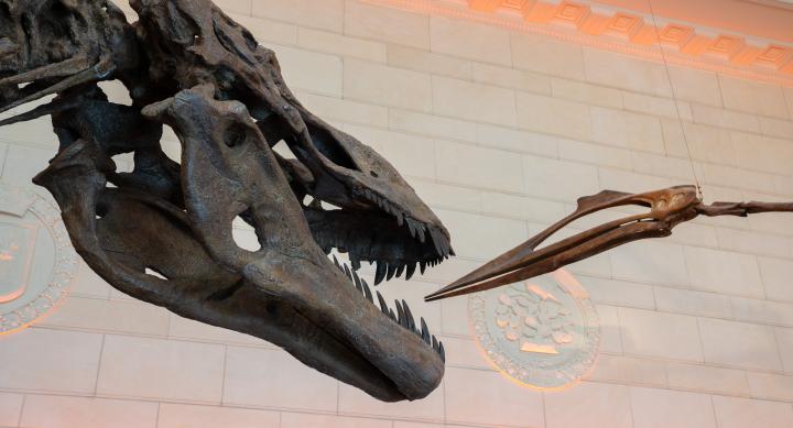 headshot of both fossils in Great Hall