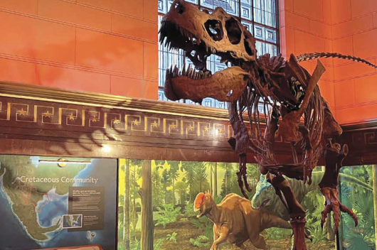 Shot of dinosaur exhibit