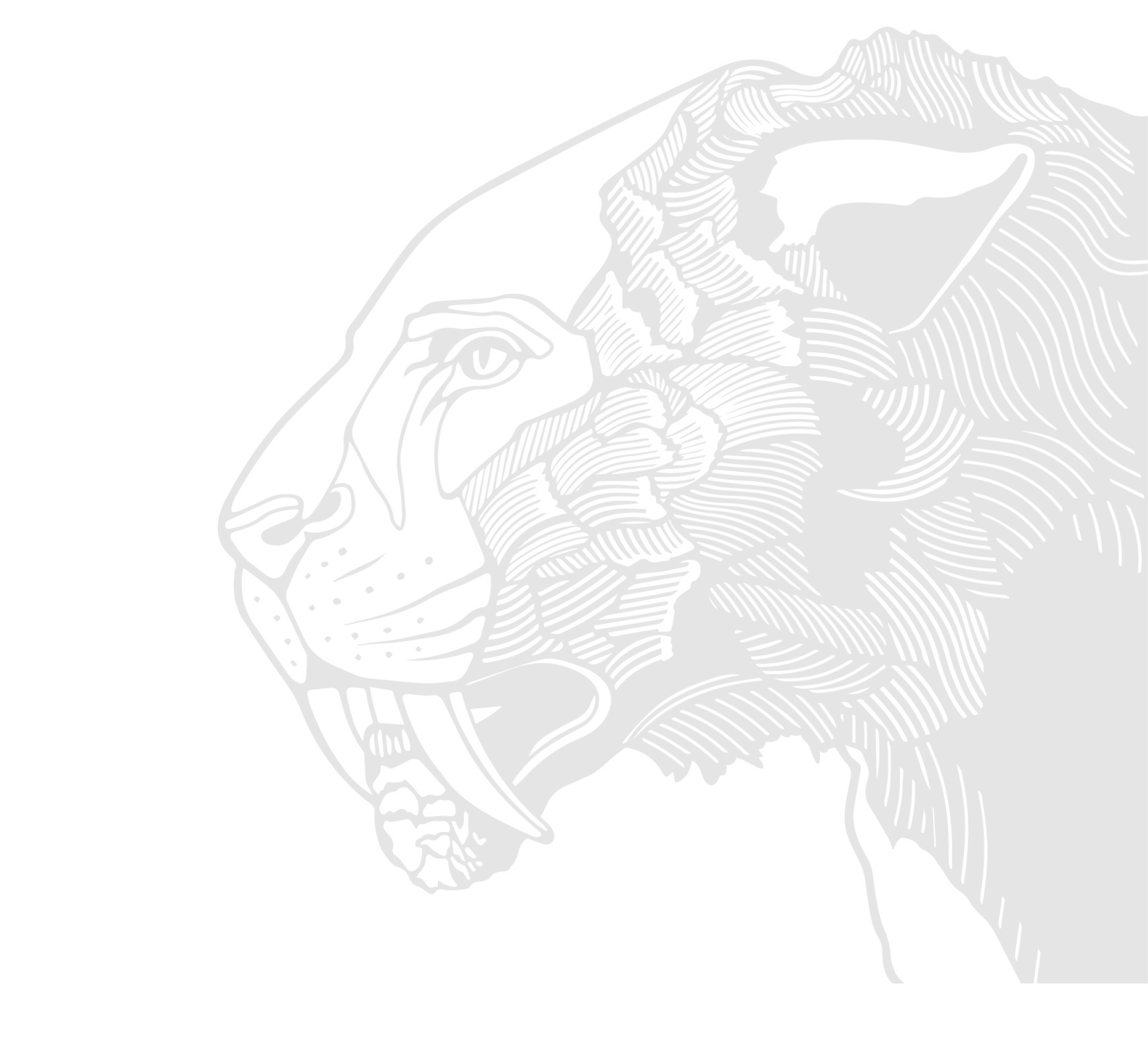 decorative lion head