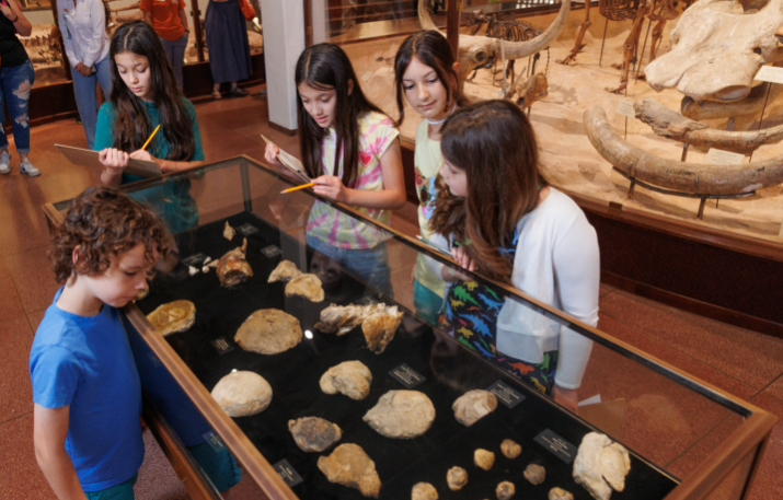 Children on a self guided visit