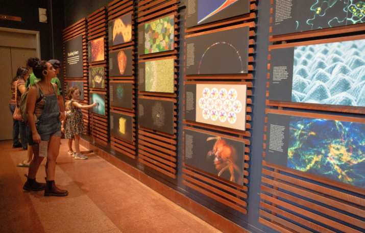 Visitors in the Visualizing Science exhibit