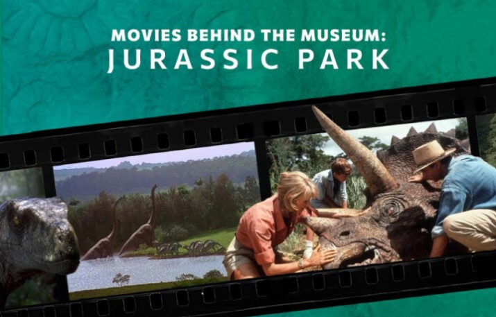 Movies behind the museum