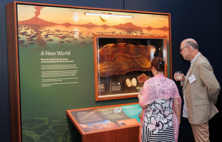 Coule reading A New World exhibit