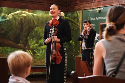 Woman playing violin