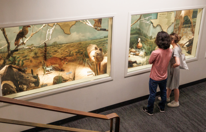 Children exploring an animal exhibit