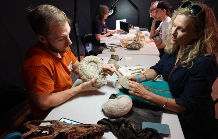 Paleontologist identifying a fossil