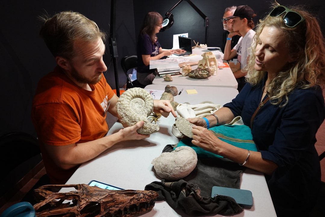Paleontologist identifying a fossil