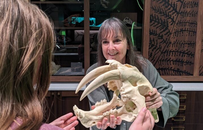 Ice Age fossils