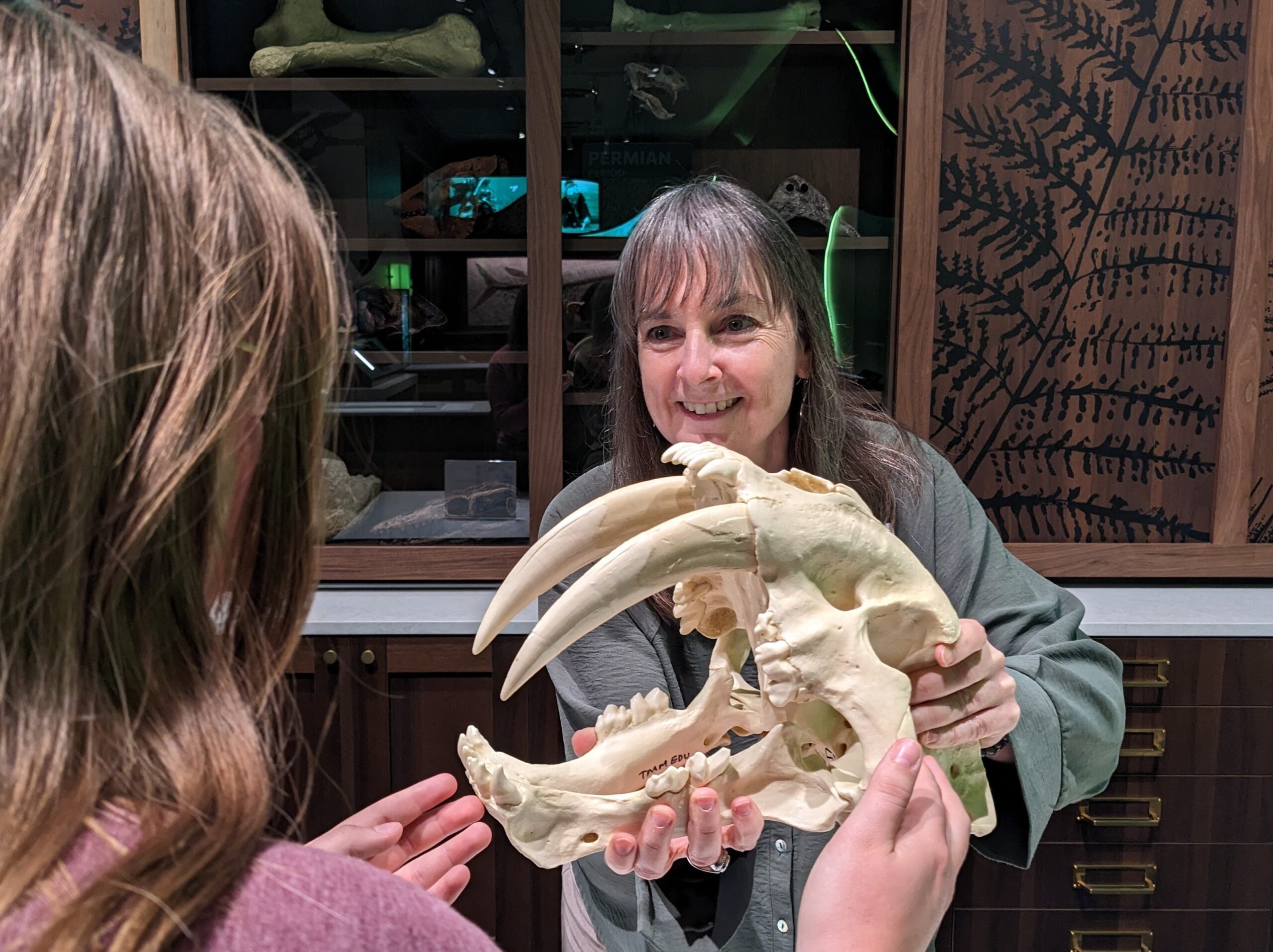 Ice Age fossils