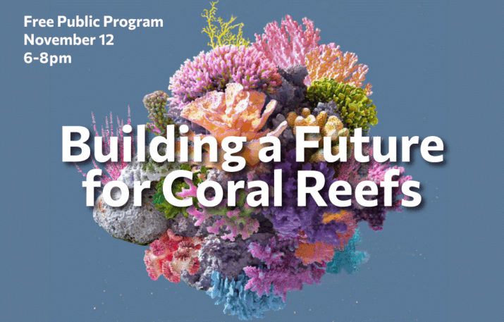Building a future for coral reefs