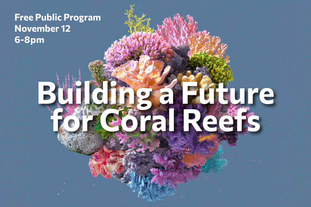 Building a future for coral reefs