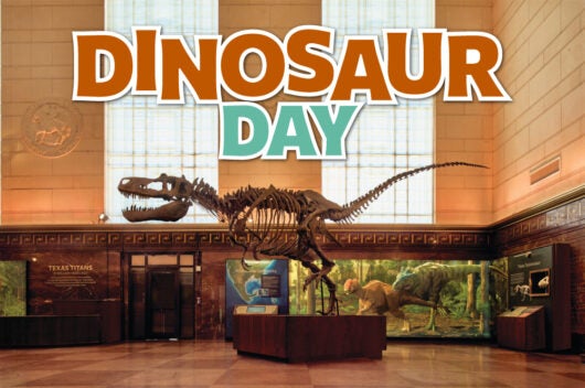 Dinosaur Day graphic