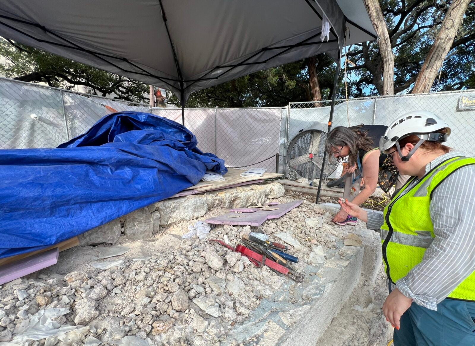 removing dinosaur trackways