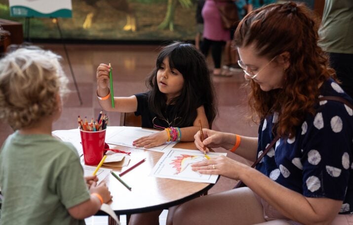 art activity