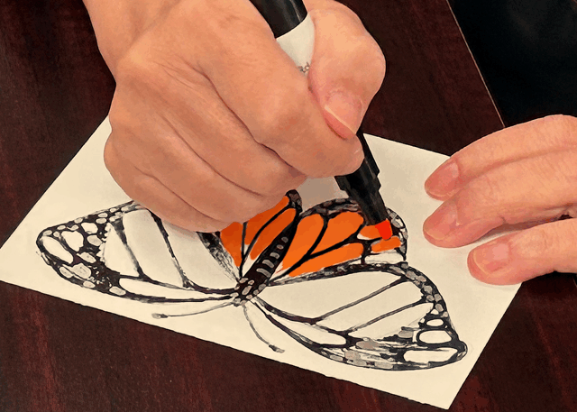 hand drawing monarch
