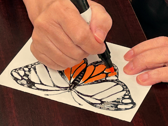 hand drawing monarch