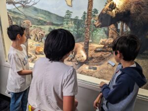 field trip students with wildlife