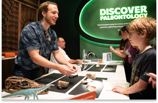 Discovery Desk