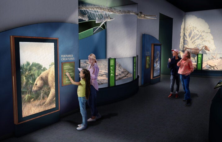 Rendering of new Paleontology Gallery
