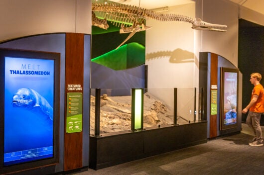Epic Encounters paleontology gallery