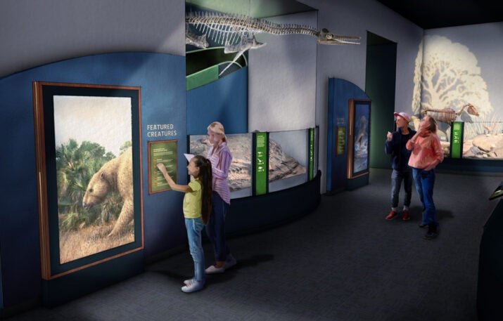 rendering of new Paleontology Gallery