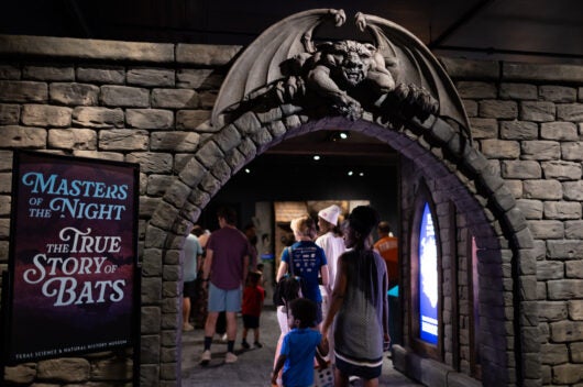 Family entering the "Masters of the Night: The True Story of Bats" exhibit gallery at Texas Science & Natural History Museum